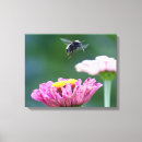 Buscar abejorro lienzos Abeja