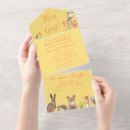 Buscar robin invitaciones Para niños