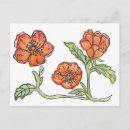 Buscar poppy tarjetas Naranja