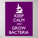 Buscar bacterias posters Microscopio
