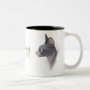 Buscar sphynx tazas Gato