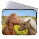 Buscar caballo fundas Hija