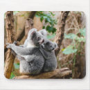Buscar koalas alfombrillas de raton General y unisex