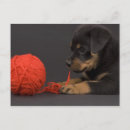 Buscar el jugar postales Perrito