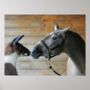 Buscar caballo andaluz posters Langrish bob