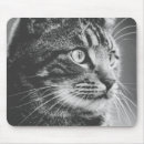 Buscar tabla alfombrillas de raton Felino