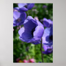 Buscar corazones azules arte Flor
