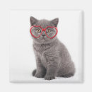 Buscar gafas imanes Gatito