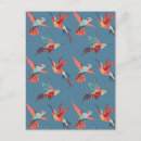 Buscar hummingbird postales Tropical