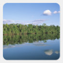 Buscar amazonas pegatinas Amazón