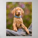 Buscar vizsla arte Cachorro