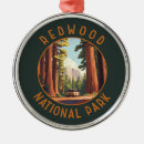 Buscar leña adornos Parque nacional de redwood
