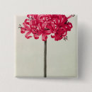 Buscar roberto chapas 17mo