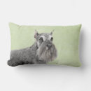 Buscar schnauzer cojines Cachorro