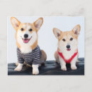 Buscar corgis Cuadrado