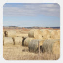 Buscar heno pegatinas Balé