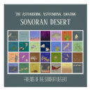 Buscar sonoran posters Fauna