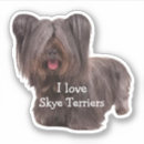 Buscar terrier pegatinas Canino