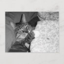 Buscar durmiendo postales Postear