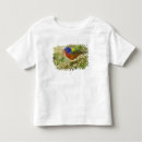 Buscar plumaje camisetas Plumaje de reproducción