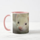 Buscar ferret tazas Adorable