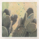 Buscar desierto posavasos Cactus