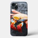 Buscar cangrejo ipad fundas Animal