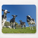 Buscar agricultura alfombrillas de raton Opinión de ángulo bajo