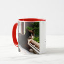 Buscar meow tazas Foto