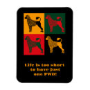 Buscar perro de agua imanes General y unisex