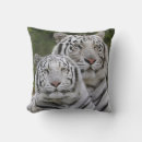 Buscar tigre de bengala cojines Gran gato