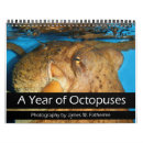 Buscar pulpo calendarios Marina