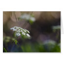 Buscar kenilworth Blanco