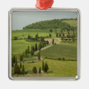 Buscar ciprés adornos Toscana