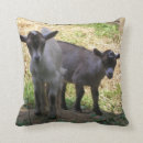 Buscar cabra linda cojines Animales de granja