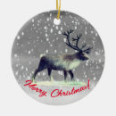 Buscar rudolf adornos General y unisex