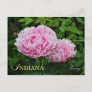 Buscar indiana postales Estado
