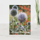 Buscar abeja ocupada tarjetas Ocupado