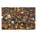 Buscar piedras coloridas posters Guijarros