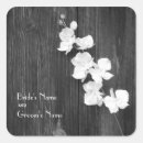 Buscar orquídea negra pegatinas Blanco y negro