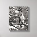 Buscar rojo blanco negro lienzos Naturaleza