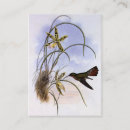 Buscar head tarjetas de visita Floral
