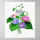 Buscar septiembre posters Flor de nacimiento