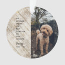 Buscar regalos Clásico