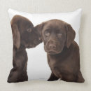 Buscar labrador retriever cojines Animales
