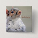 Buscar squirrel chapas Amante de las ardillas