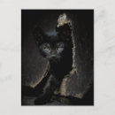 Buscar animales domésticos postales Lindo