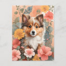 Buscar bebés animales postales General y unisex