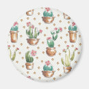 Buscar macetas imanes Cactus