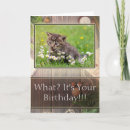 Buscar chiste fotograficas tarjetas General y unisex